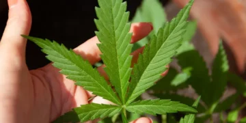 Tiga Anak SMA Terciduk Bawa Ganja