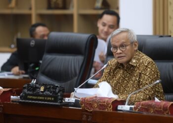 Komisi VI DPR RI Dukung PLN Jaga Keandalan Listrik dan Fasilitas SPKLU Selama Libur Idul Fitri