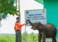 PLN Ikut Aktif Lestarikan Gajah Sumatera, Sediakan Kendaraan Patroli Hewan