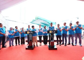 Resmikan HRS Pertama di Indonesia, Langkah PLN Diapresiasi Berbagai Pihak