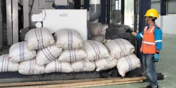 Disuplai Listrik PLN, Pabrik Jagung Milik Pemprov Sumbar Kini Mampu Produksi hingga 50 Ton per Hari