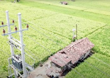 Sukses Menambah Pelanggan jadi Kunci Membaiknya Kinerja PLN 2023, Terbanyak dari Golongan Rumah Tangga