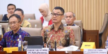 Bangun Kelistrikan Daerah Terpencil, PLN Ajukan 3 Triliun PMN 2025