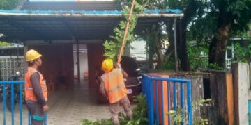 PLN Pontianak Rutin Lakukan Pemeliharaan Jaringan Listrik