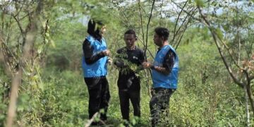 Pengembangan Biomassa PLN di Tasikmalaya: Dikelola Masyarakat, Didukung Pemerintah