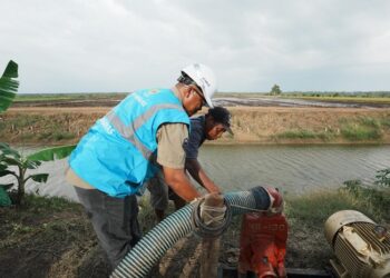 Dukung Tranformasi Pertanian Modern, Electrifying Agriculture PLN Raih 53.539 Pelanggan Baru di Tahun 2024