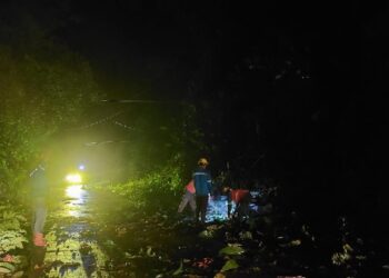 PLN Gerak Cepat Pulihkan Listrik 100% Pasca Longsor di Bengkayang