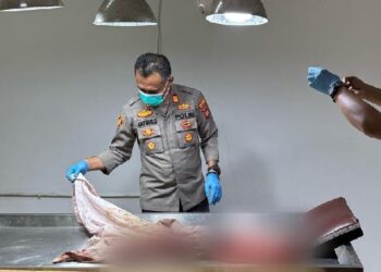 Pemulung di Pontianak Temukan Bayi Tak Bernyawa Dalam Kantong Kresek