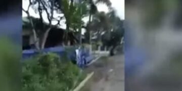 Oknum DPRD Melawi Disebut Terlibat Perdagangan Kayu Ilegal