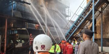 Pabrik PT Alas Kusuma di Kuala Dua Terbakar, Api Diduga dari Turbin Boiler