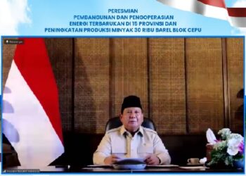 PLN  47 PLTS Diresmikan Presiden, 5.383 Rumah Tangga di Wilayah 3T Kini Nikmati Listrik Bersih