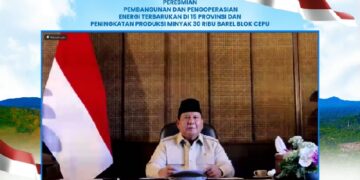 PLN  47 PLTS Diresmikan Presiden, 5.383 Rumah Tangga di Wilayah 3T Kini Nikmati Listrik Bersih