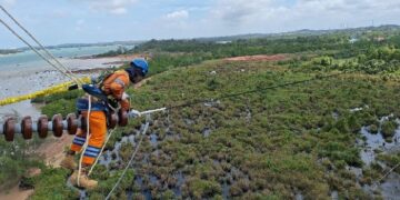 Wujud Kontribusi ke Negara, PLN Setor Rp65,59 Triliun Lewat Dividen, Pajak dan PNBP