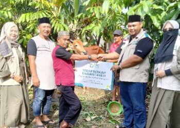 Rayakan Idul Adha, PLN dan YBM PLN Tebar 2.048 Paket Daging Kurban di Kalbar