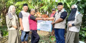 Rayakan Idul Adha, PLN dan YBM PLN Tebar 2.048 Paket Daging Kurban di Kalbar