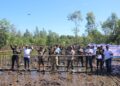 PLN untuk Rakyat, Listrik untuk Alam Penanaman 6.000 Mangrove di Kuala Satong Jadi Wujud Nyata Komitmen Lingkungan