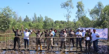 PLN untuk Rakyat, Listrik untuk Alam Penanaman 6.000 Mangrove di Kuala Satong Jadi Wujud Nyata Komitmen Lingkungan