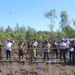 PLN untuk Rakyat, Listrik untuk Alam Penanaman 6.000 Mangrove di Kuala Satong Jadi Wujud Nyata Komitmen Lingkungan