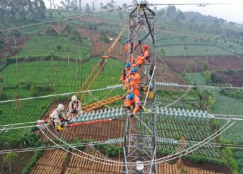 Peningkatan Pendapatan Dorong PLN Masuk Fortune Global 500