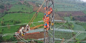 Peningkatan Pendapatan Dorong PLN Masuk Fortune Global 500