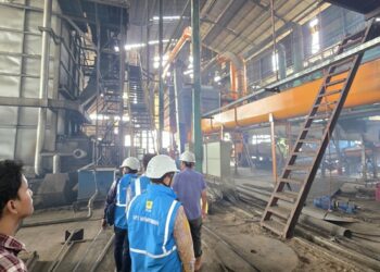 PLN Dorong Produktivitas Industri Kelapa Sawit di Landak