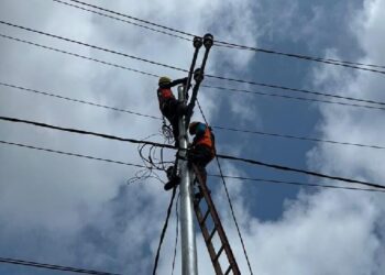 PLN Perkuat Layanan Kelistrikan di Sanggau Lewat Pemeliharaan Jaringan Terencana