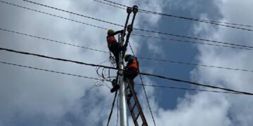 PLN Perkuat Layanan Kelistrikan di Sanggau Lewat Pemeliharaan Jaringan Terencana