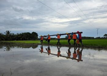 Medan Berat Tidak Menghalangi PLN Perkuat Jaringan Listrik di Pemangkat