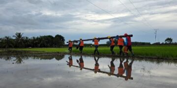 Medan Berat Tidak Menghalangi PLN Perkuat Jaringan Listrik di Pemangkat