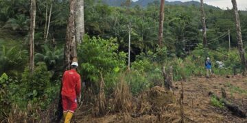PLN Gelar GROWS di Desa Semade dan Tunang, Perkuat Keandalan Jaringan Listrik Mempawah
