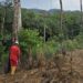 PLN Gelar GROWS di Desa Semade dan Tunang, Perkuat Keandalan Jaringan Listrik Mempawah