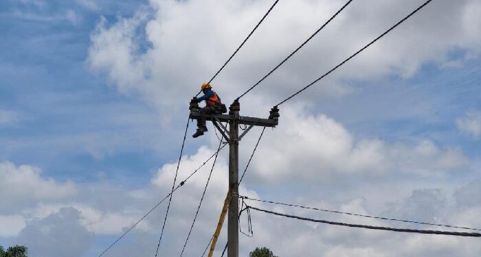 PLN Sanggau Perkuat Layanan Tingkatkan Keandalan Jaringan