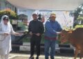 PLN UID Kalbar Salurkan 3.437 Kantong Daging Kurban untuk Masyarakat