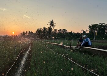 Tarif Listrik Triwulan III 2026 Tetap, PLN Siap Jalankan Kebijakan Pemerintah dan Jaga Kualitas Layanan ke Masyarakat