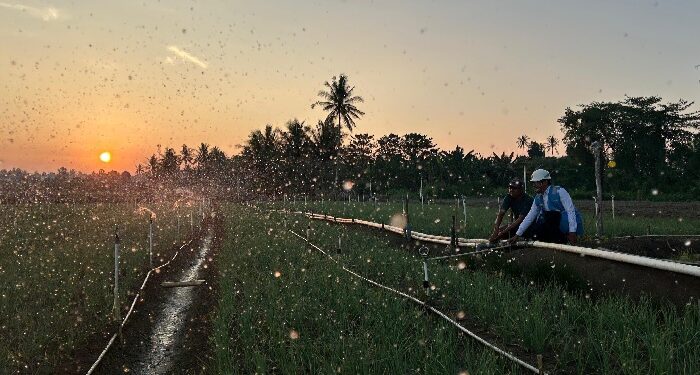 Tarif Listrik Triwulan III 2026 Tetap, PLN Siap Jalankan Kebijakan Pemerintah dan Jaga Kualitas Layanan ke Masyarakat