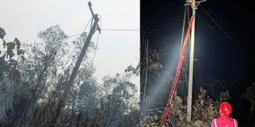 Gerak Cepat PLN Pulihkan Jaringan Listrik Terdampak Karhutla di Ketapang