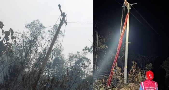 Gerak Cepat PLN Pulihkan Jaringan Listrik Terdampak Karhutla di Ketapang