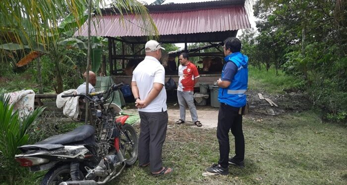 Program Electrifying Agriculture: Dari Energi ke Produktivitas, Peternakan Sejiram Siap Naik Kelas